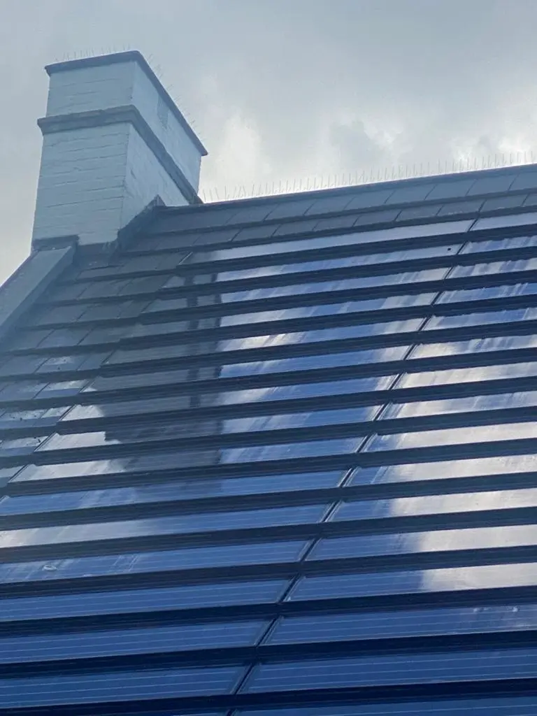 Zonnepanelen reinigen - Kristal Solar Clean - Bjorn Lösken